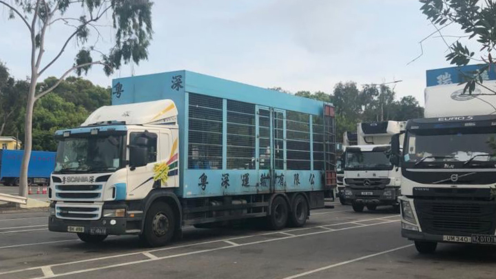 跨境貨車司機今日起改為快速核酸檢測。運房局資料圖片