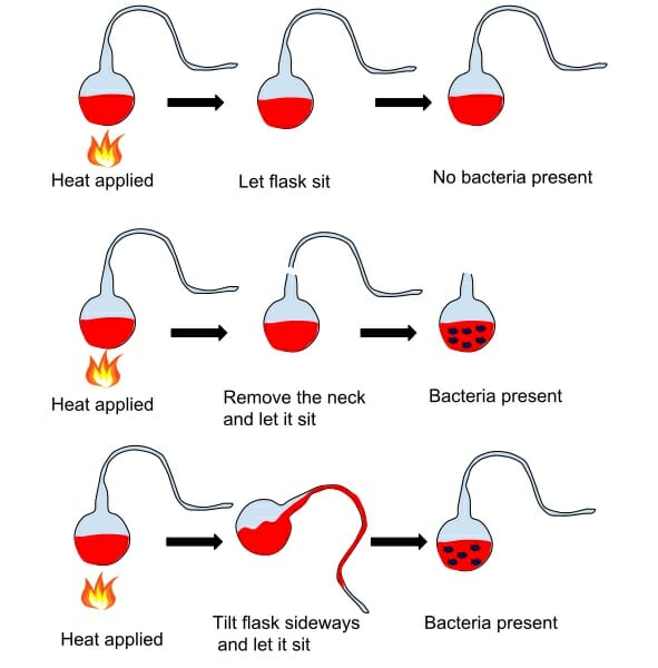 疾病的細菌學理論（Germ Theory of Disease）的簡單解釋。（圖片來源：Biology Dictionary）