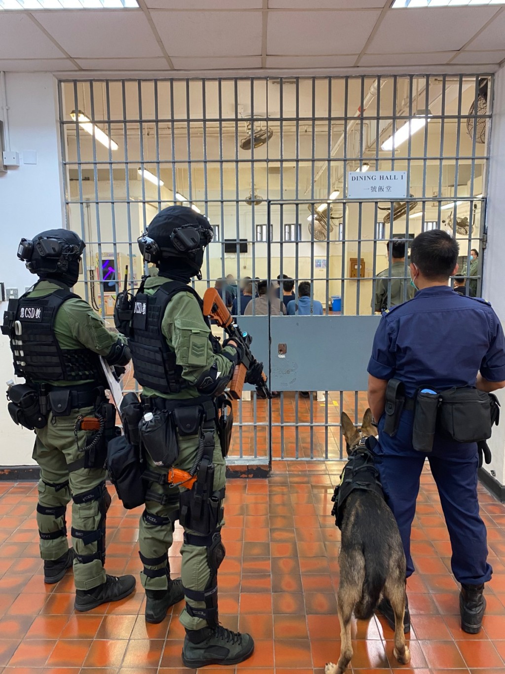 區域應變隊及警衛犬隊到東頭懲教所支援。政府新聞處圖片 區域應變隊及警衛犬隊到東頭懲教所支援。政府新聞處圖片