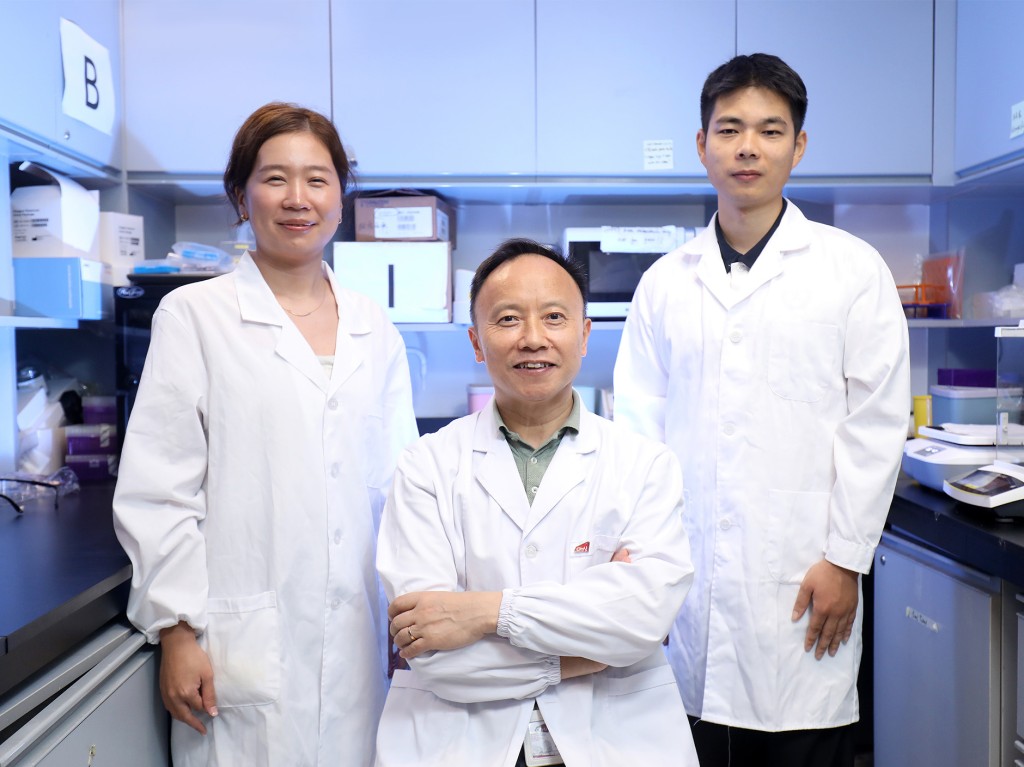 是次研究由城大生物醫學院生物醫學科學系尹慧勇(中)及董氏生物醫學中心研究助理教授仲珊珊(左)領導。城大提供 是次研究由城大生物醫學院生物醫學科學系尹慧勇(中)及董氏生物醫學中心研究助理教授仲珊珊(左)領導。城大提供