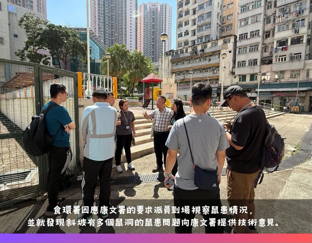 食環署因應康文署的要求派員到場視察鼠患情況。 食環署因應康文署的要求派員到場視察鼠患情況。