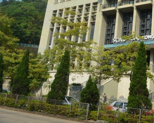 62歲老翁大埔道遇山賊。資料圖片