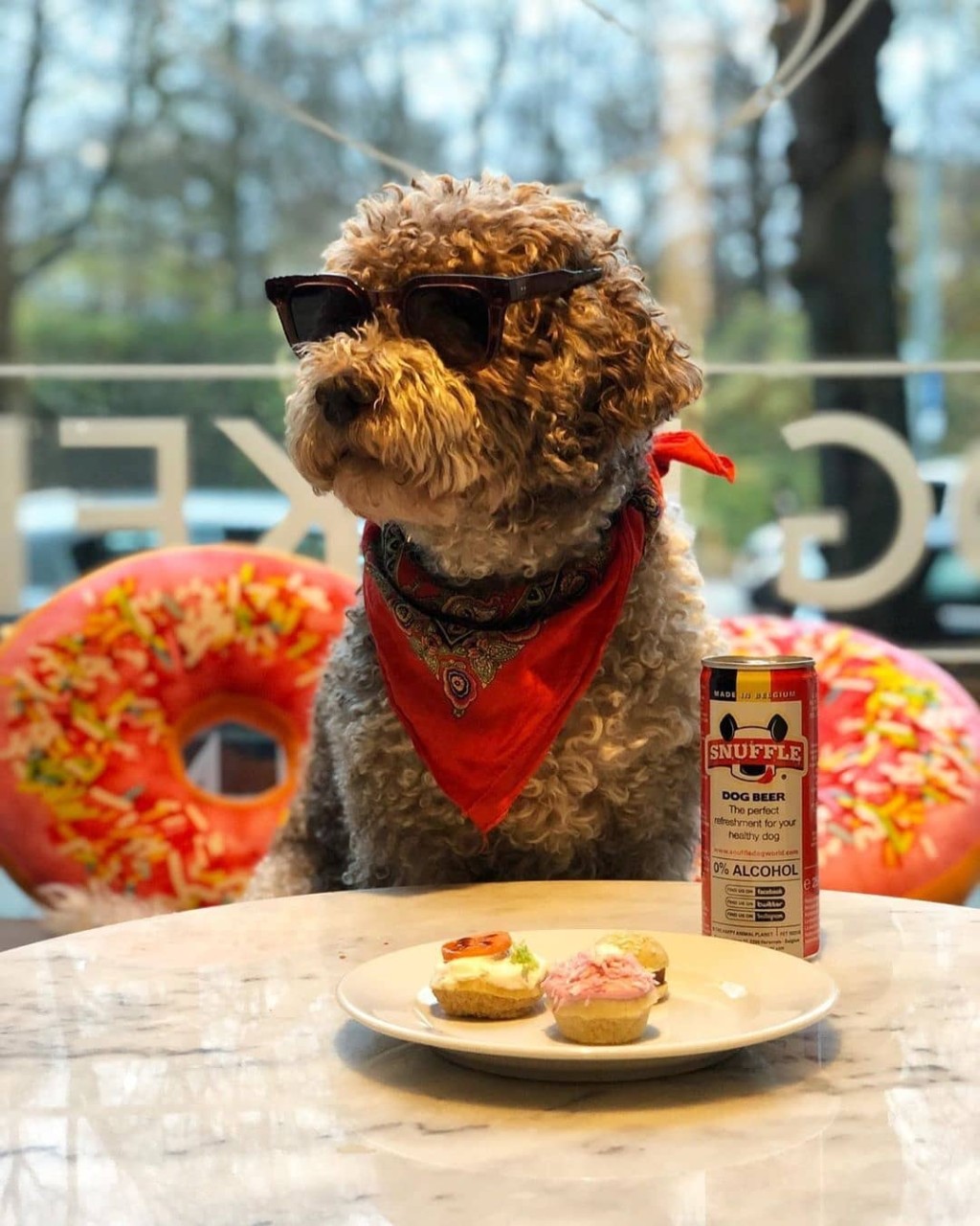 狗狗情緒興奮時，容易進食過急。（IG@CUTE DOGS）