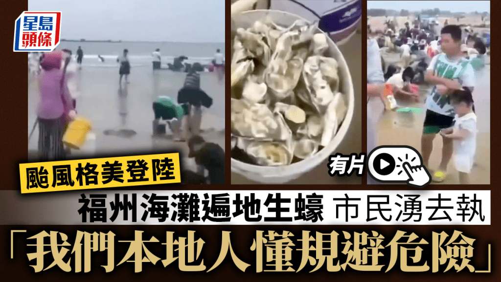 颱風格美登陸後，福州海灘生蠔遍地，市民組團趕海。