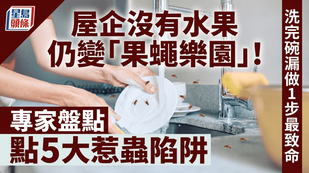 屋企沒有水果仍變「果蠅樂園」！專家盤點5大惹蟲陷阱 洗完碗漏做1步最致命