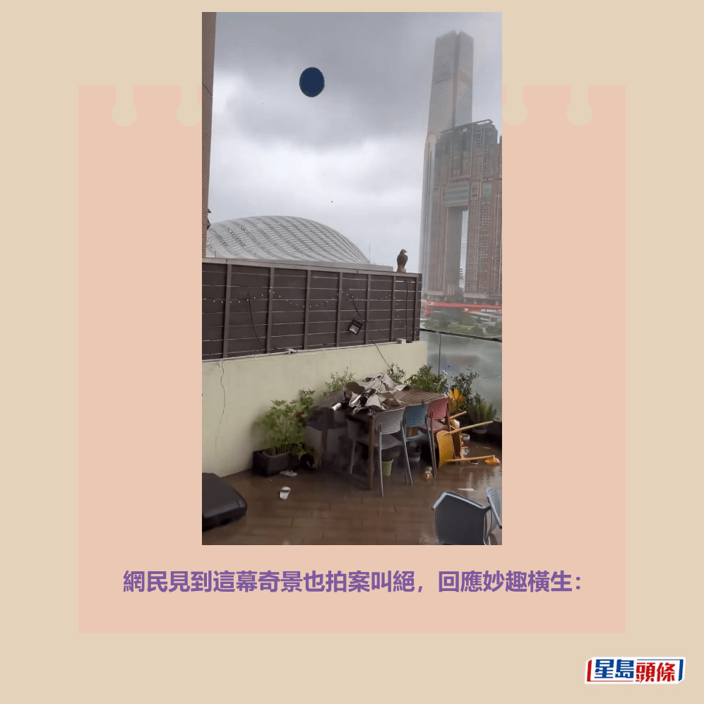 網民見到這幕奇景也拍案叫絕，回應妙趣橫生：Threads截圖