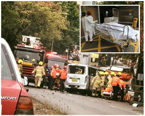 客貨車司機傷重死亡(小圖)。 讀者提供/網民Irene  Ng