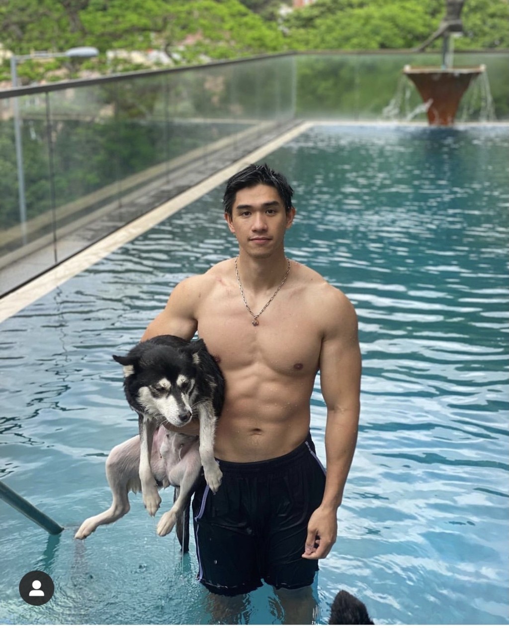 二仔經常幫助毛孩，愛心爆棚。