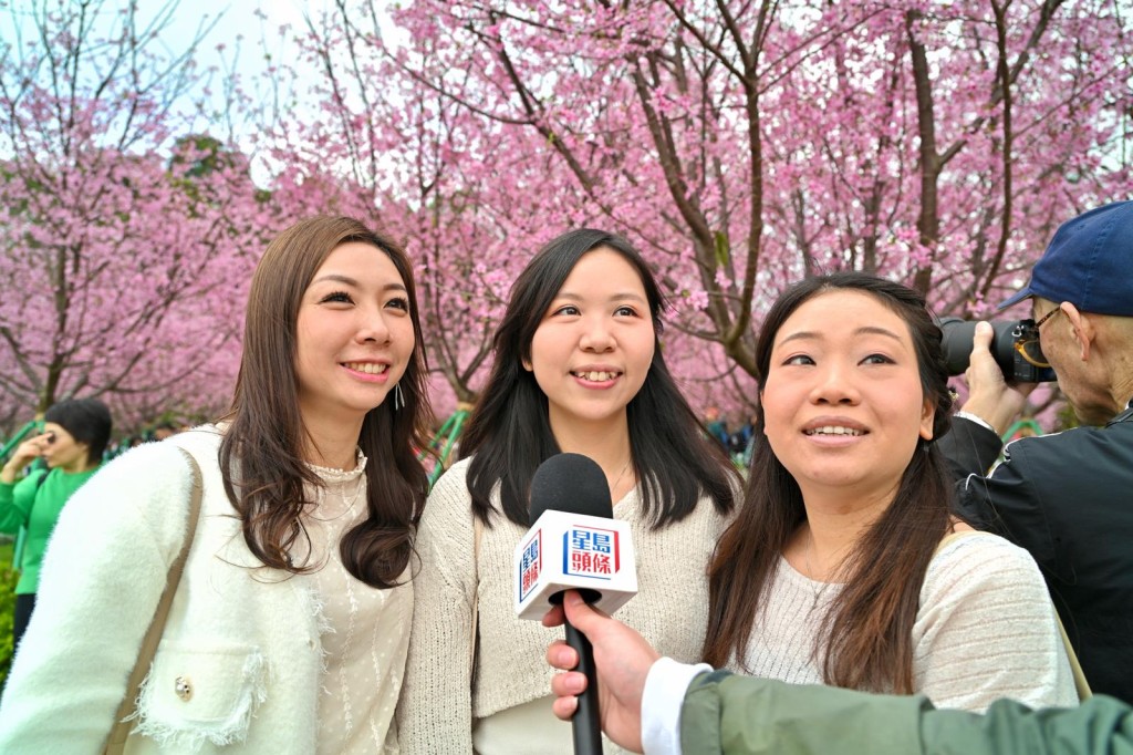 左起:Tracy、Maggie及Wing到櫻花園賞花。鍾健華攝