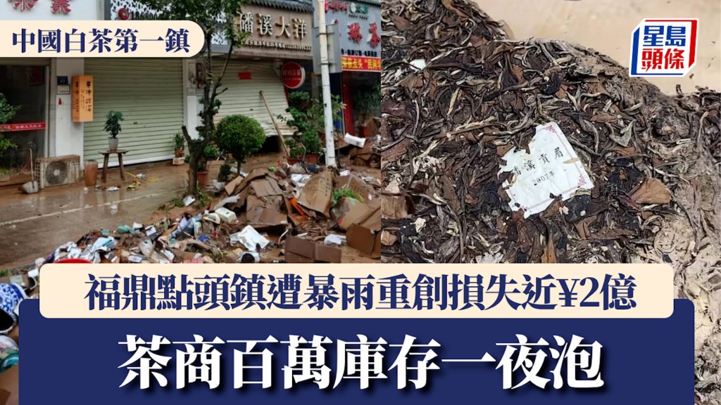 「中國白茶第一鎮」｜ 福鼎點頭鎮遭暴雨重創損失近¥2億 茶商百萬庫存一夜泡