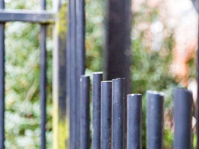 消防員為救貓貓,連貓帶欄一同移走。 網圖