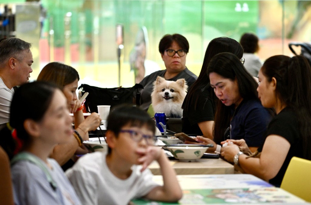 不少狗主希望與毛孩一同用餐。 
