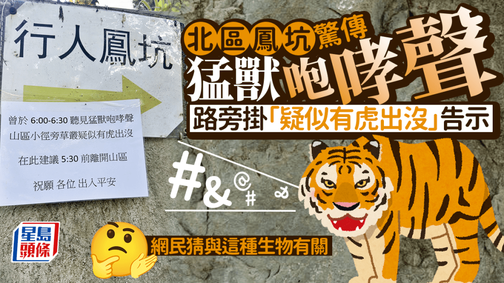  Edit media 北區鳳坑驚傳猛獸咆哮聲 路旁掛「疑似有虎出沒」告示 網民猜與這種生物有關 Edit media 北區鳳坑驚傳猛獸咆哮聲 路旁掛「疑似有虎出沒」告示 網民猜與這種生物有關 