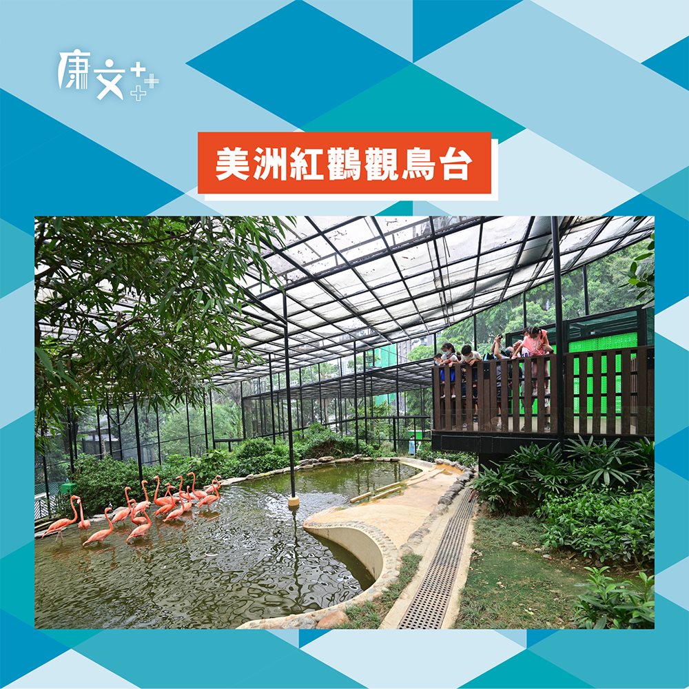 公園新建美洲紅鸛觀鳥台和婆羅州猩猩居所康文署FB圖片