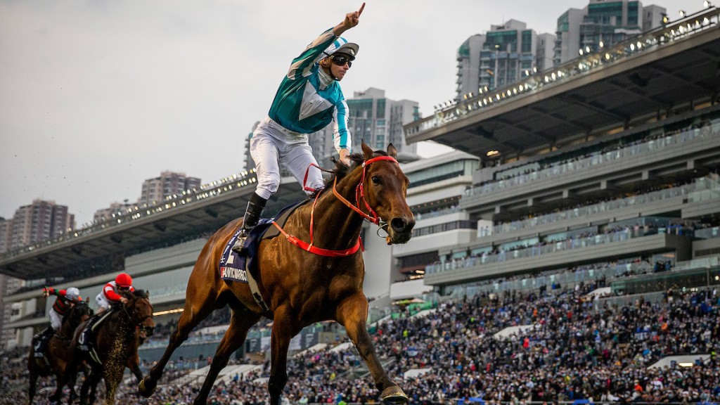 麥道朗與「浪漫勇士」已攜手取得八捷。 麥道朗與「浪漫勇士」已攜手取得八捷。