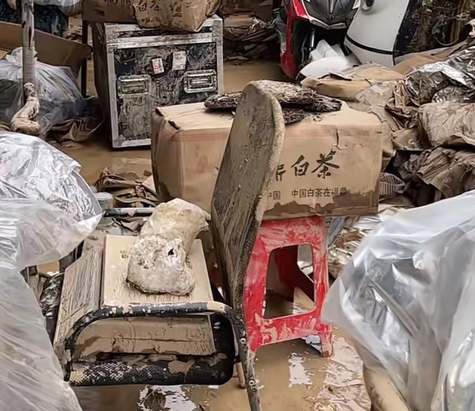 被洪水浸泡损坏的福鼎白茶。 潮新闻