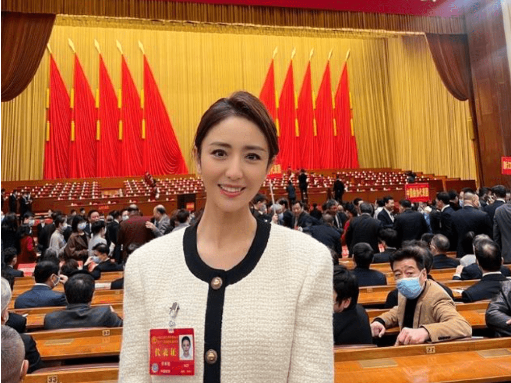 「佟麗婭再婚」幾天前成了敏感詞。資料圖片
