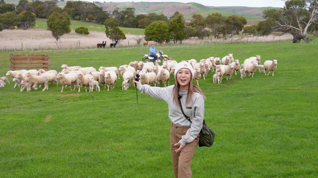 Christy到訪獲獎無數的農莊。