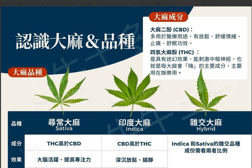 為吸引青少年嘗試吸食大麻，毒販發佈貼文介紹吸食方法和益處，卻隻字不提記憶力衰退等症狀。