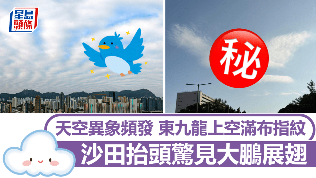 天空異象頻發 東九龍上空滿布指紋 沙田抬頭驚見大鵬展翅