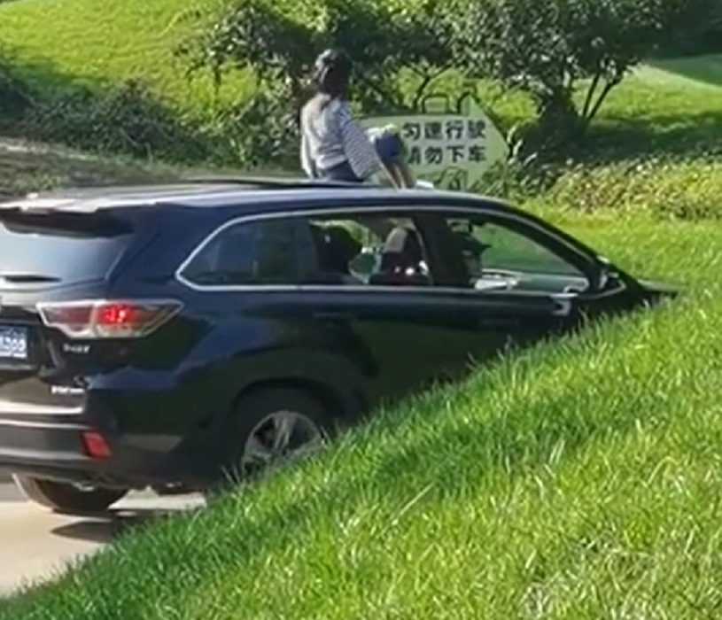 女童坐车顶游北京野生动物园。网上图片