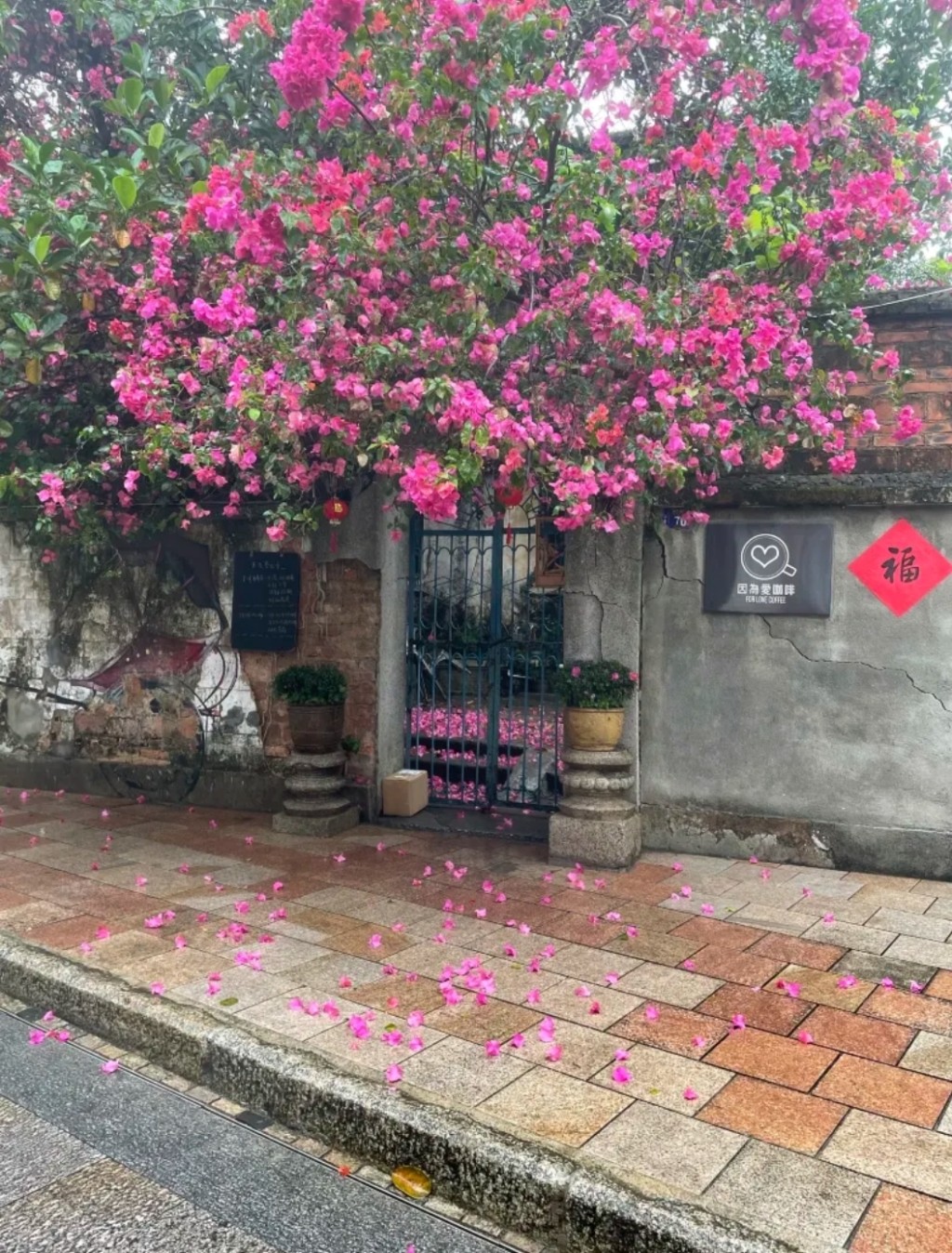 珠海好去处2024 | 2. 唐家湾古镇 民居改成咖啡店。（图片来源：Trip.com@136***43）