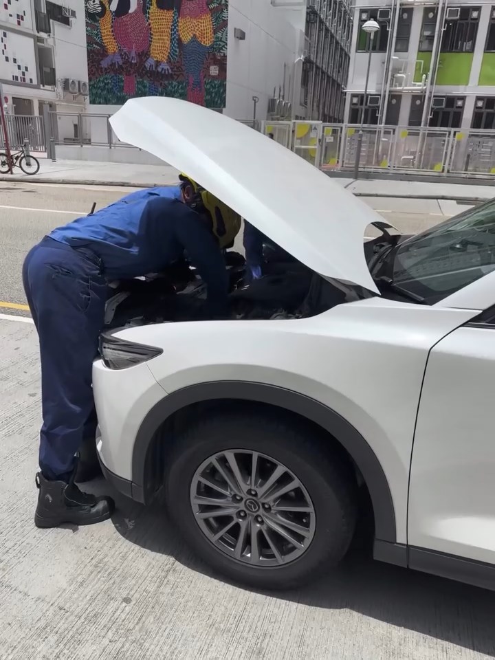 有幼貓被困私家車引擎位置。ahtisham_ahmadd@Threads片段截圖 有幼貓被困私家車引擎位置。ahtisham_ahmadd@Threads片段截圖