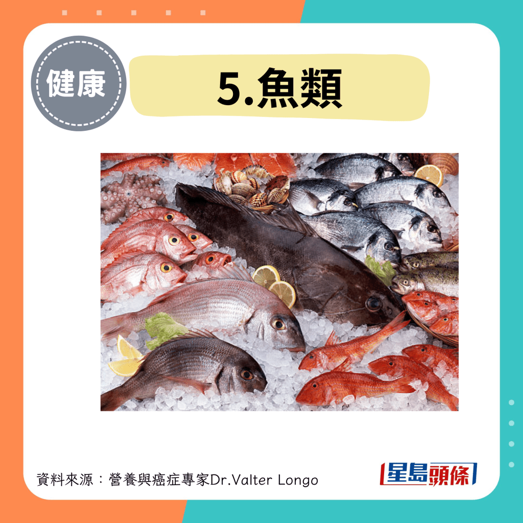 5.魚類