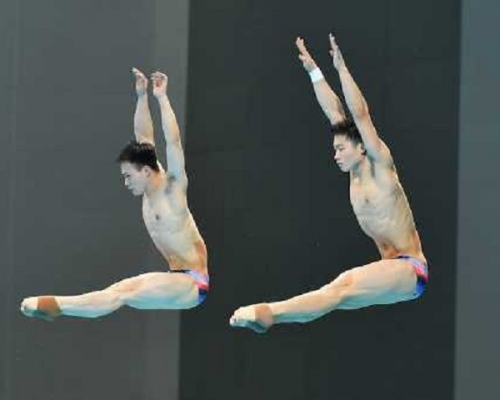 王宗源、謝思場今日出戰男子雙人3米板決賽。資料圖片