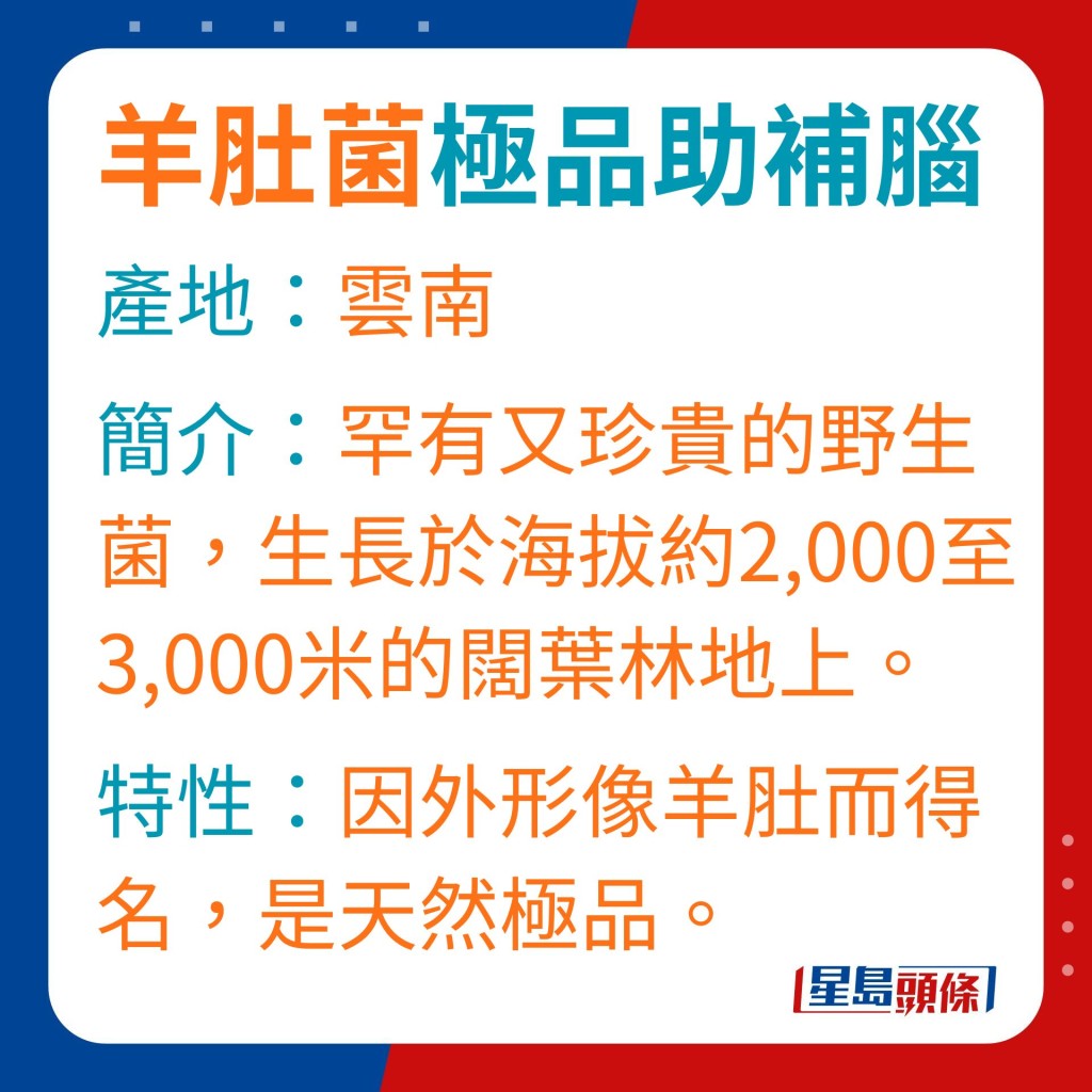 羊肚菌是罕有又珍贵的野生菌，生长于海拔约2,000至3,000米的阔叶林地上。