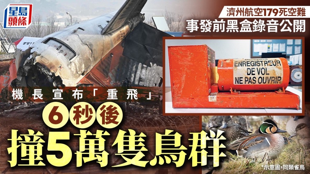  濟州航空空難｜黑盒揭班機遇非一般鳥擊 機師喊「重飛」6秒即撞5萬隻巴鴨