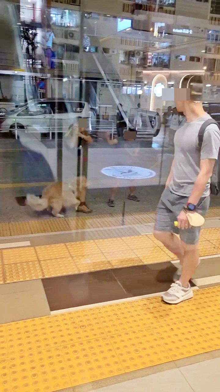 facebook截圖(資料來源:輝輝廖@facebook齊齊贏馬會 馬會出糧) facebook截圖(資料來源:輝輝廖@facebook齊齊贏馬會 馬會出糧)