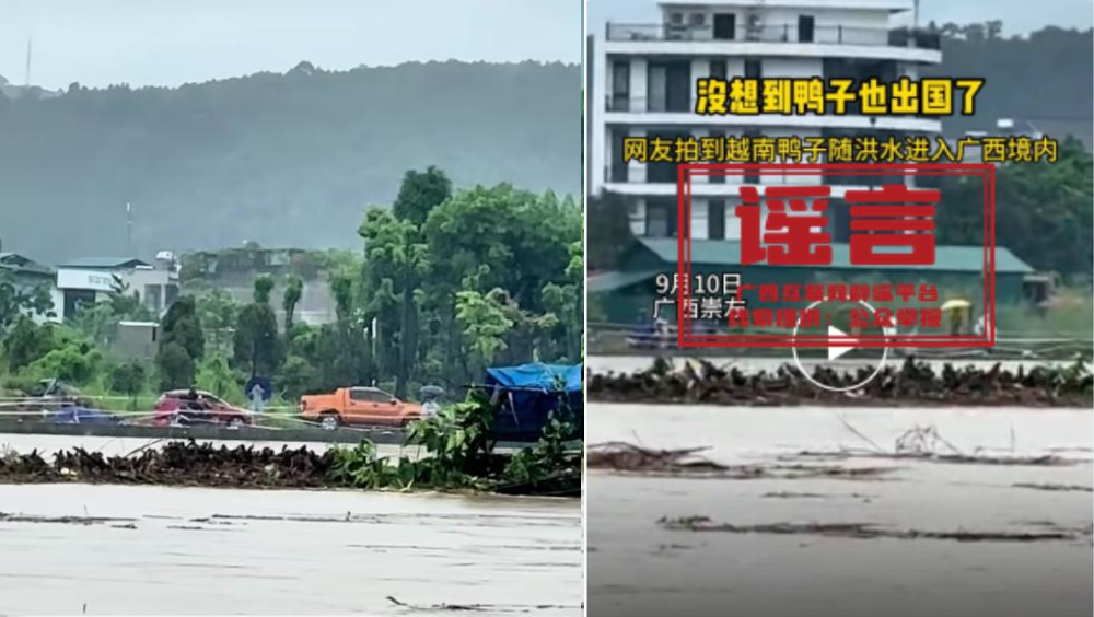 越南鴨隨洪水集體漂流到廣西？官方澄清是謠言。