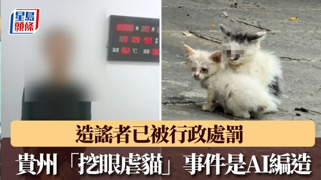 貴州挖眼斷肢虐貓事件是AI編造,造謠者已被行政處罰。