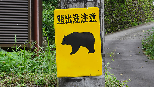 隨著北海道棕熊數量激增，人類與棕熊的生活範圍逐漸重疊。網上圖片