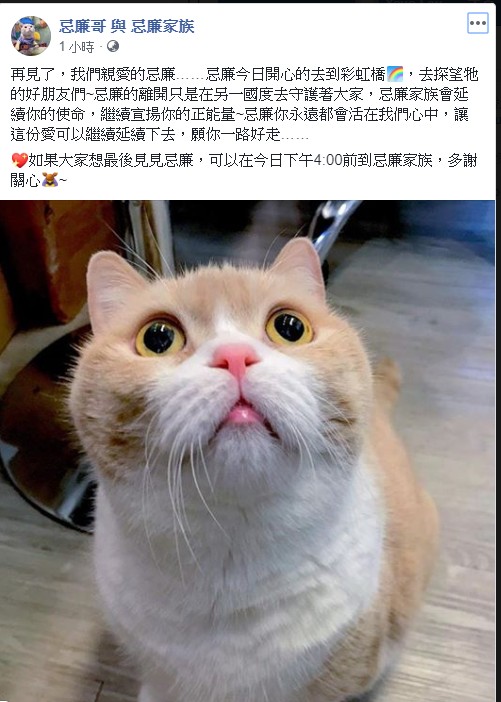「忌廉哥 與 忌廉家族」FB截圖