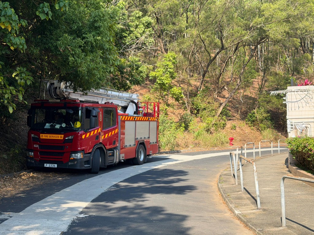 警方聯同消防於中午到山塘路一帶搜索。