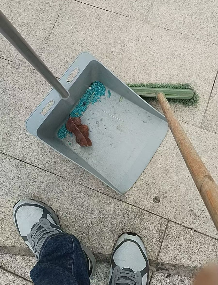 據街坊拍攝圖片所見，這些老鼠藥均為藍色顆粒狀。香港動物報提供