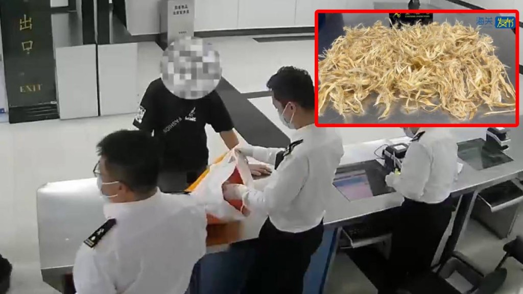 羅湖口岸有男子企圖走私2.5公斤魚翅被發現。海關發布