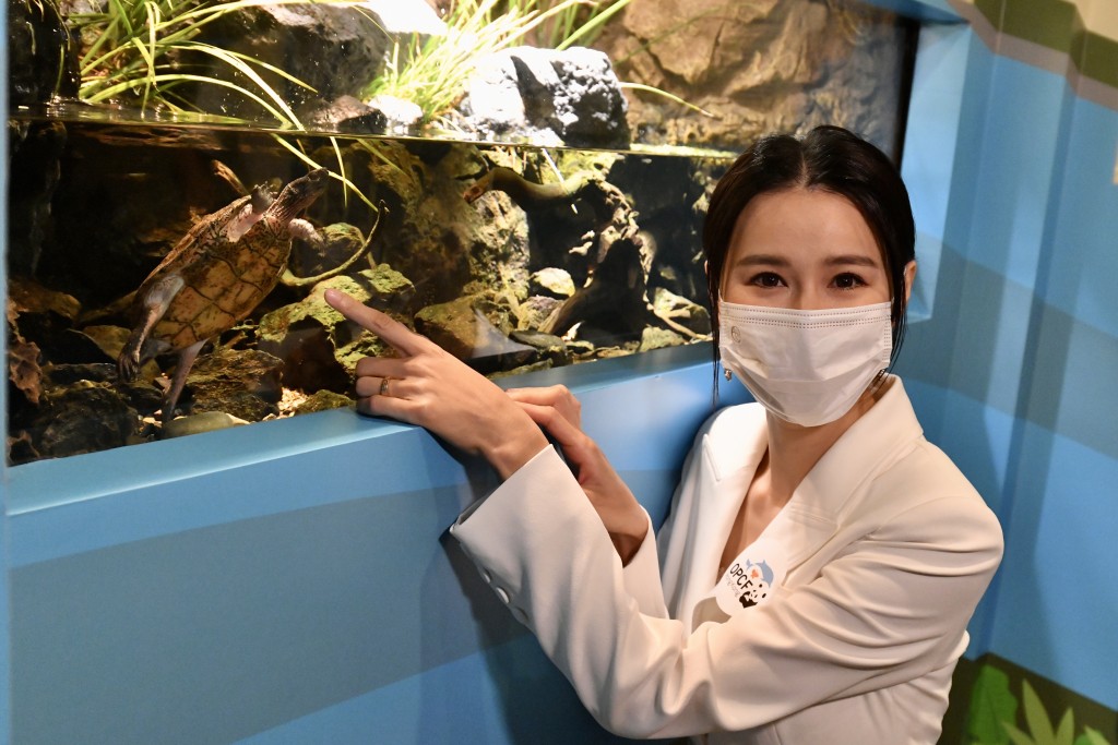 藝人黃翠如出席「第27屆海洋公園保育日」啟動禮。盧江球攝