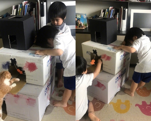 林志穎用紙箱製作貓屋，教兒子環保。