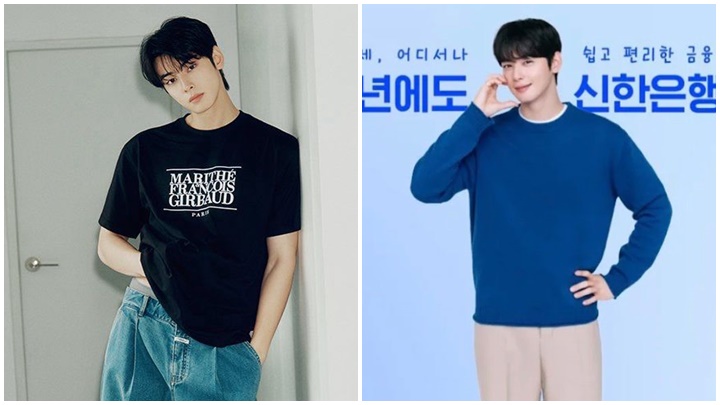 車銀優被網民嘲諷為「逃稅天才」  廣告被抽代言割席  母親公司獲證於2022已註冊登記