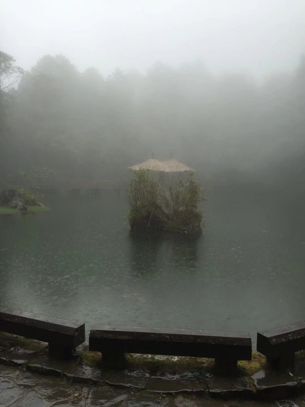 台灣阿里山深具神秘和自然氣息。（微博）