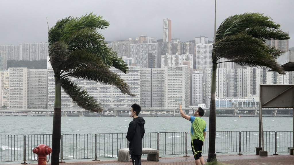 颱風或暴風雨後，感染類鼻疽風險顯著增加。