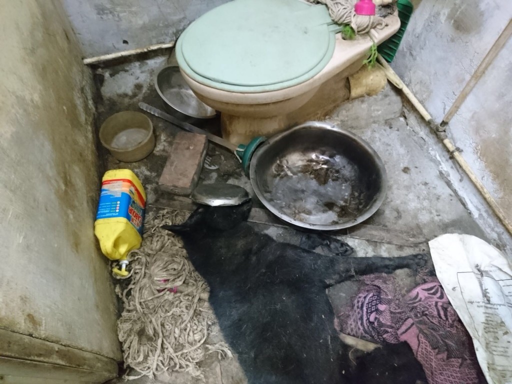 法庭記者劉曉曦攝