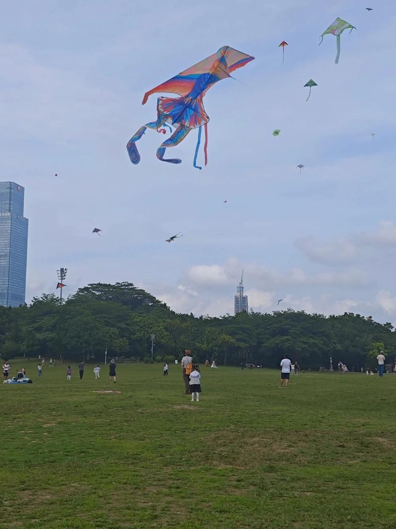 深圳莲花山公园风筝广场假日满是游客。