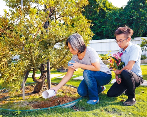 愈來愈多人選擇將寵物骨灰散在墓園裏。
