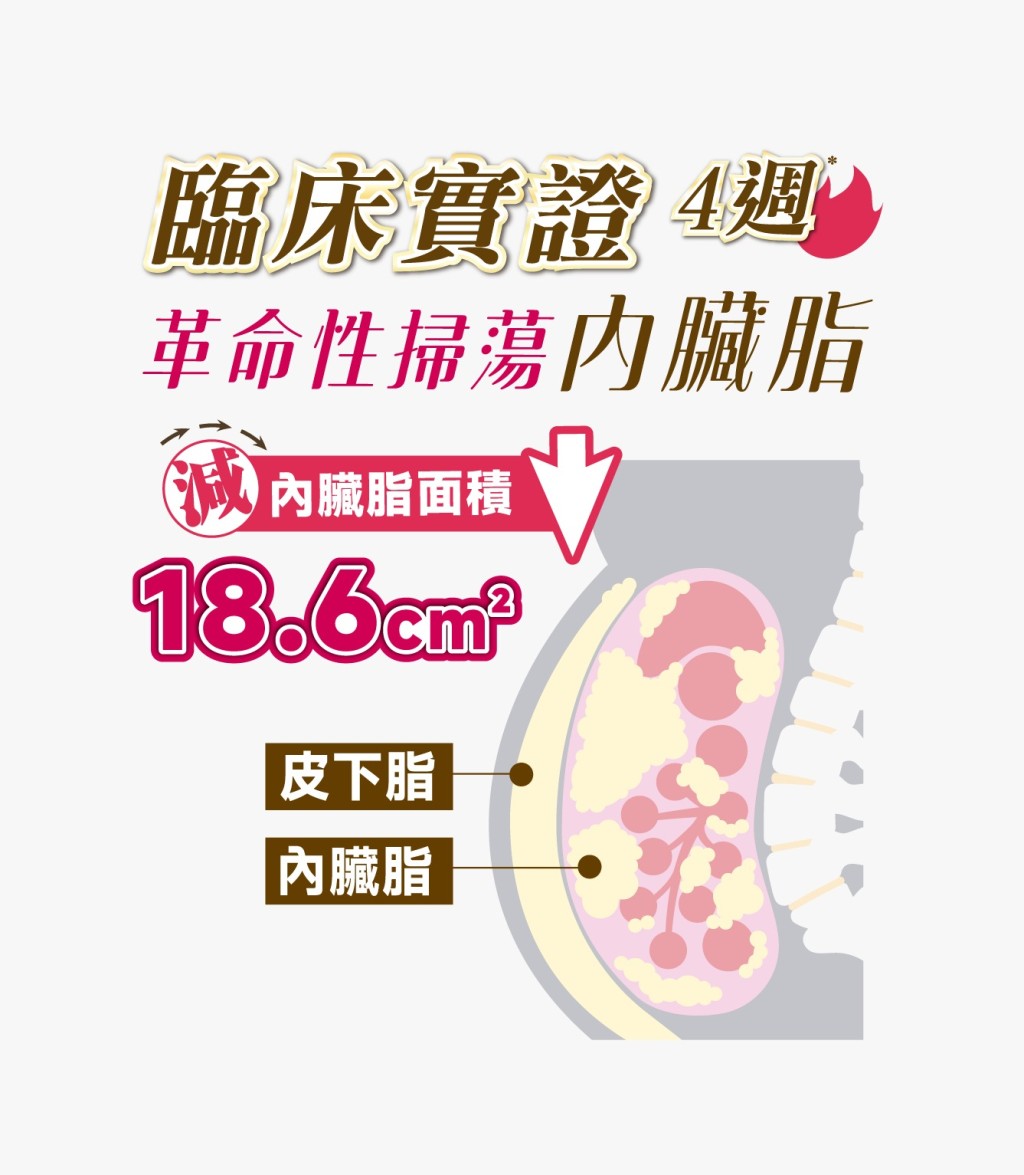 绝腩酵素成分经临床实证:4 星期内脏脂面积大减高达 18.6 cm² 绝腩酵素成分经临床实证:4 星期内脏脂面积大减高达 18.6 cm²