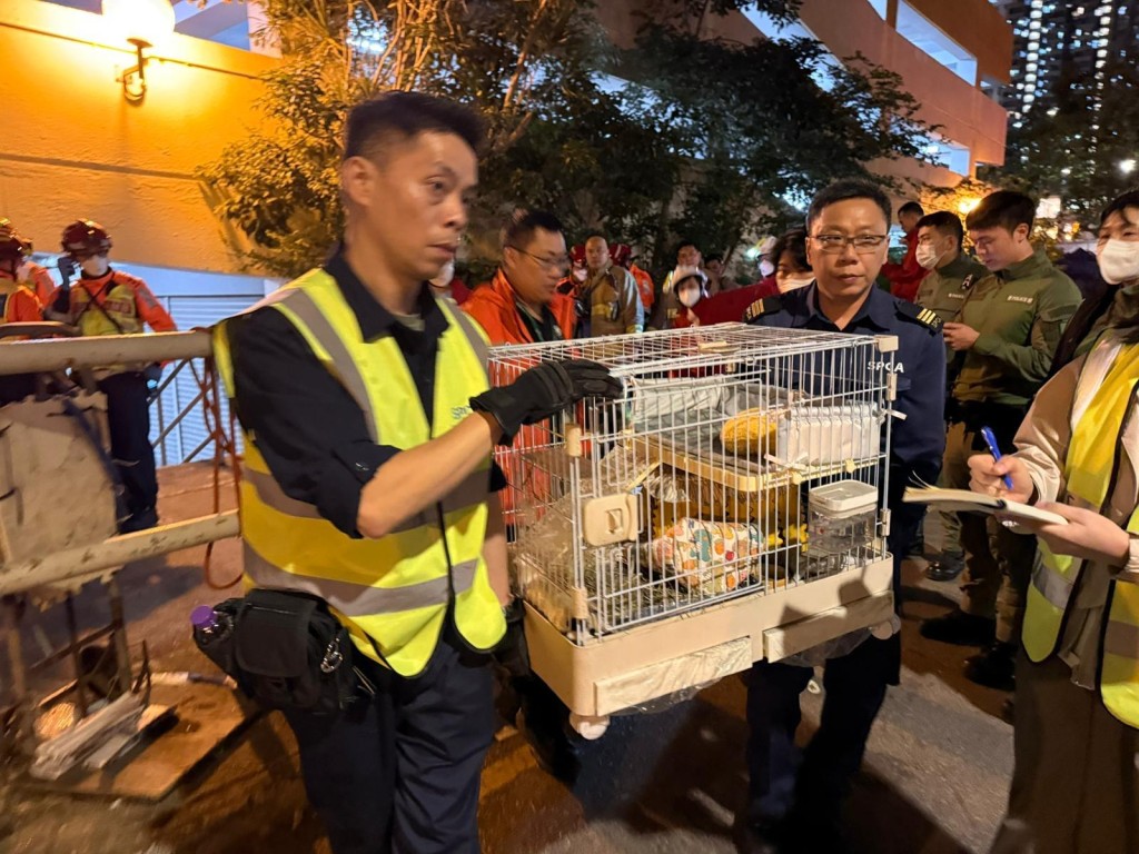 受影響寵物的總數為339隻。愛協提供圖片