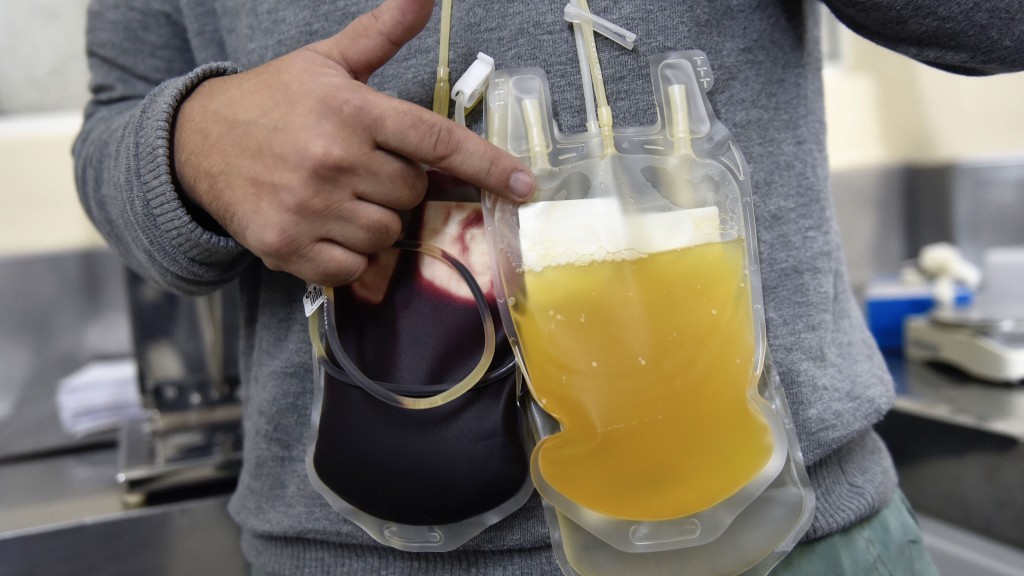 從血液中分離出來的血漿和血細胞。 新華社